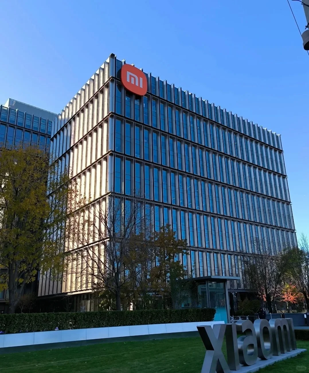 小米开招 ！！！！