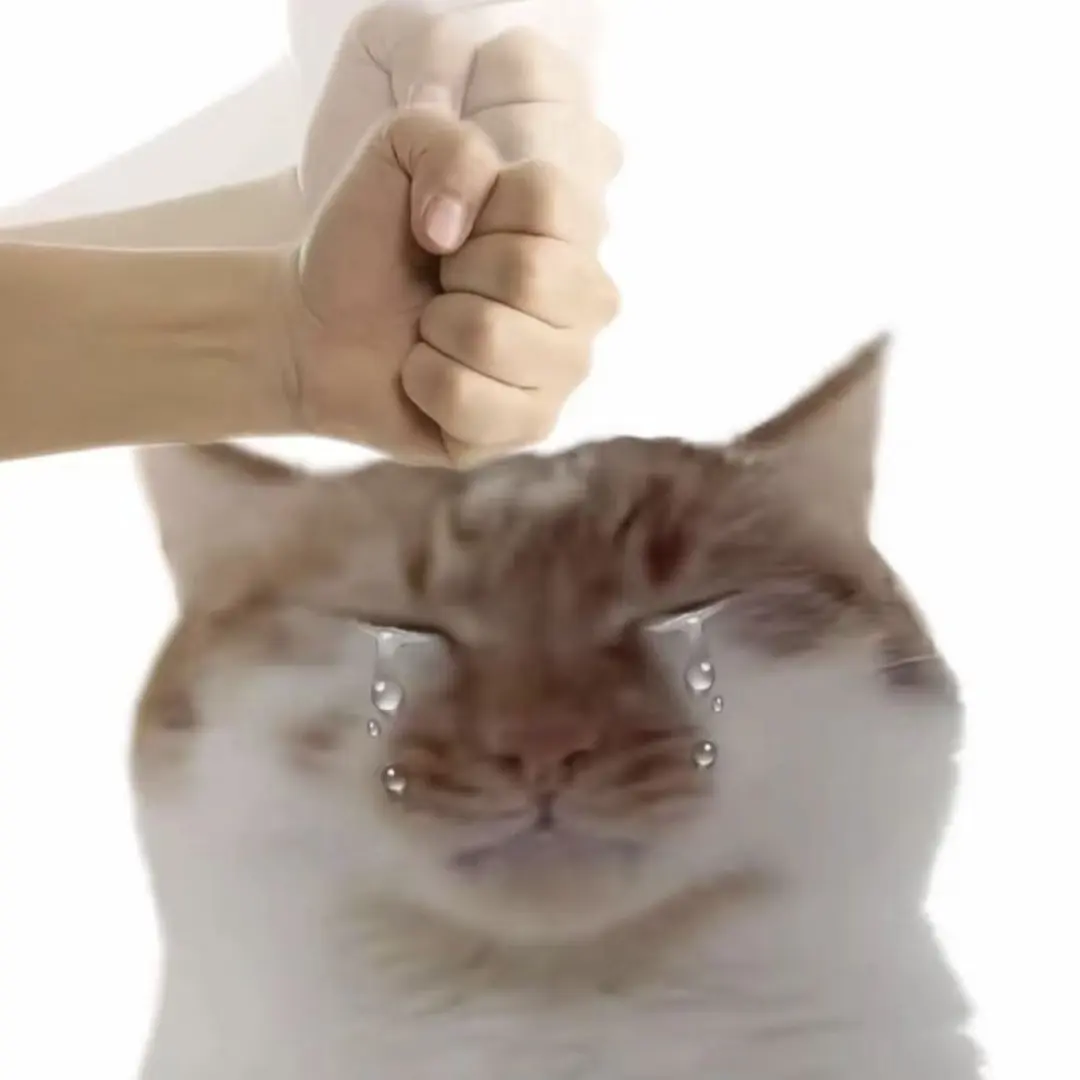 过来人对留子的忠告：优质外企根本不在Boss