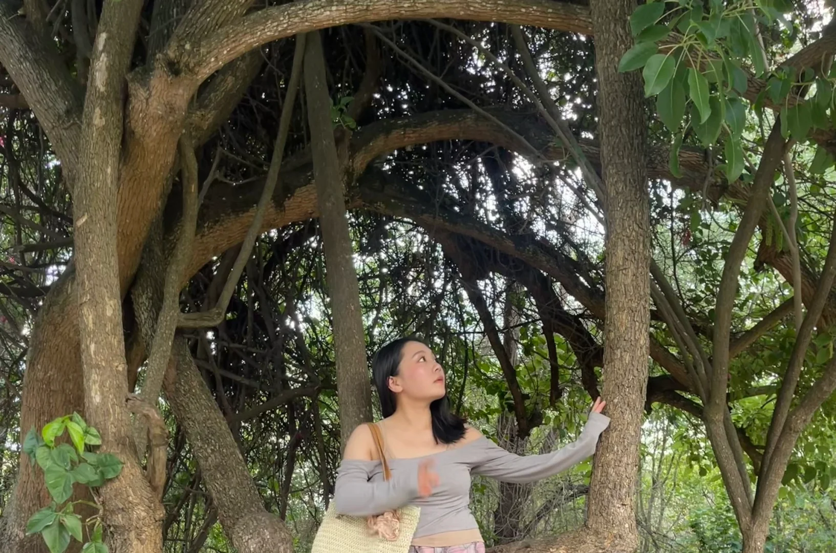 我是如何找到外派工作的（非洲版）