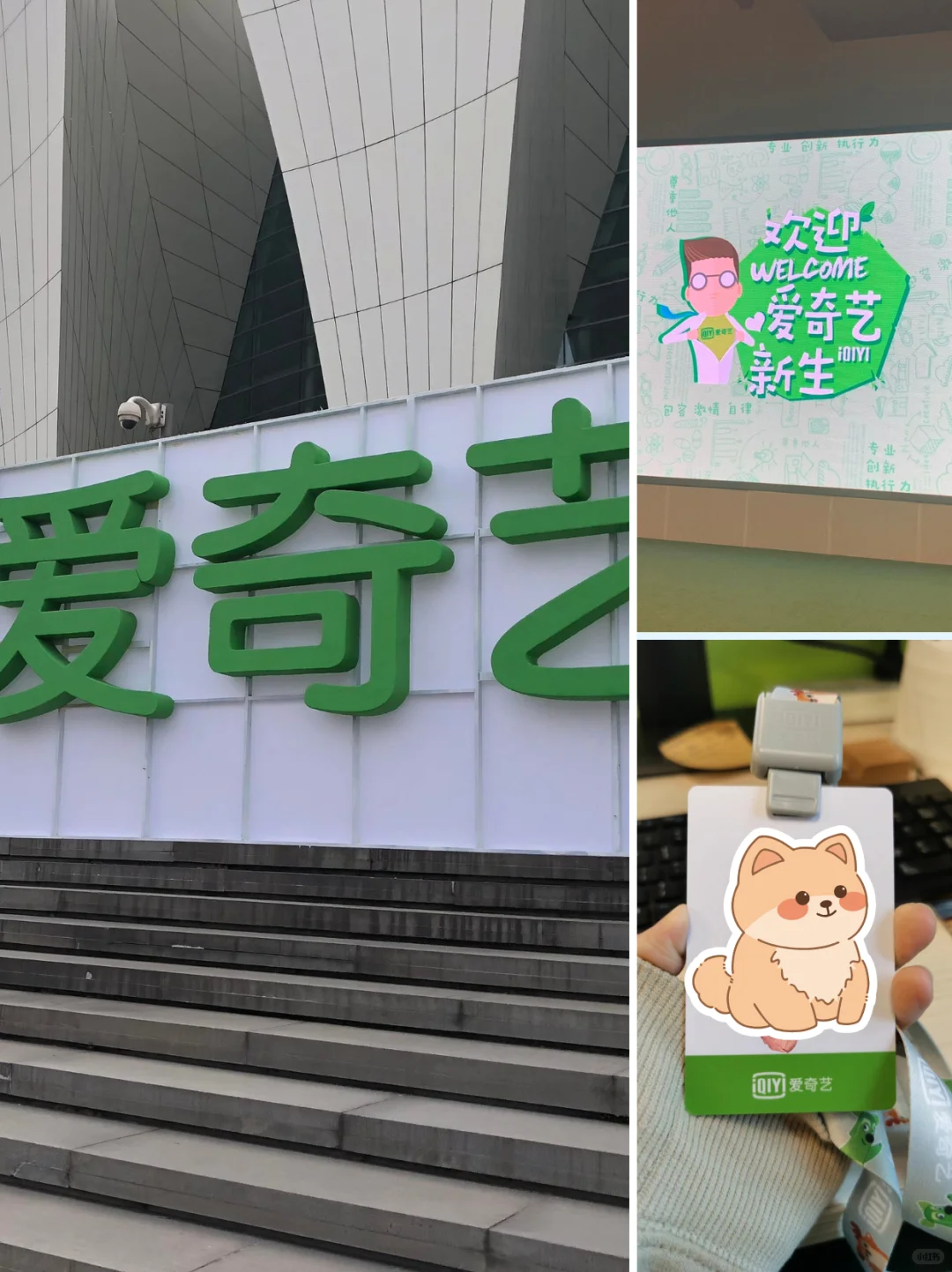 四月爱奇艺实习正在捞人中！04.18（春招）