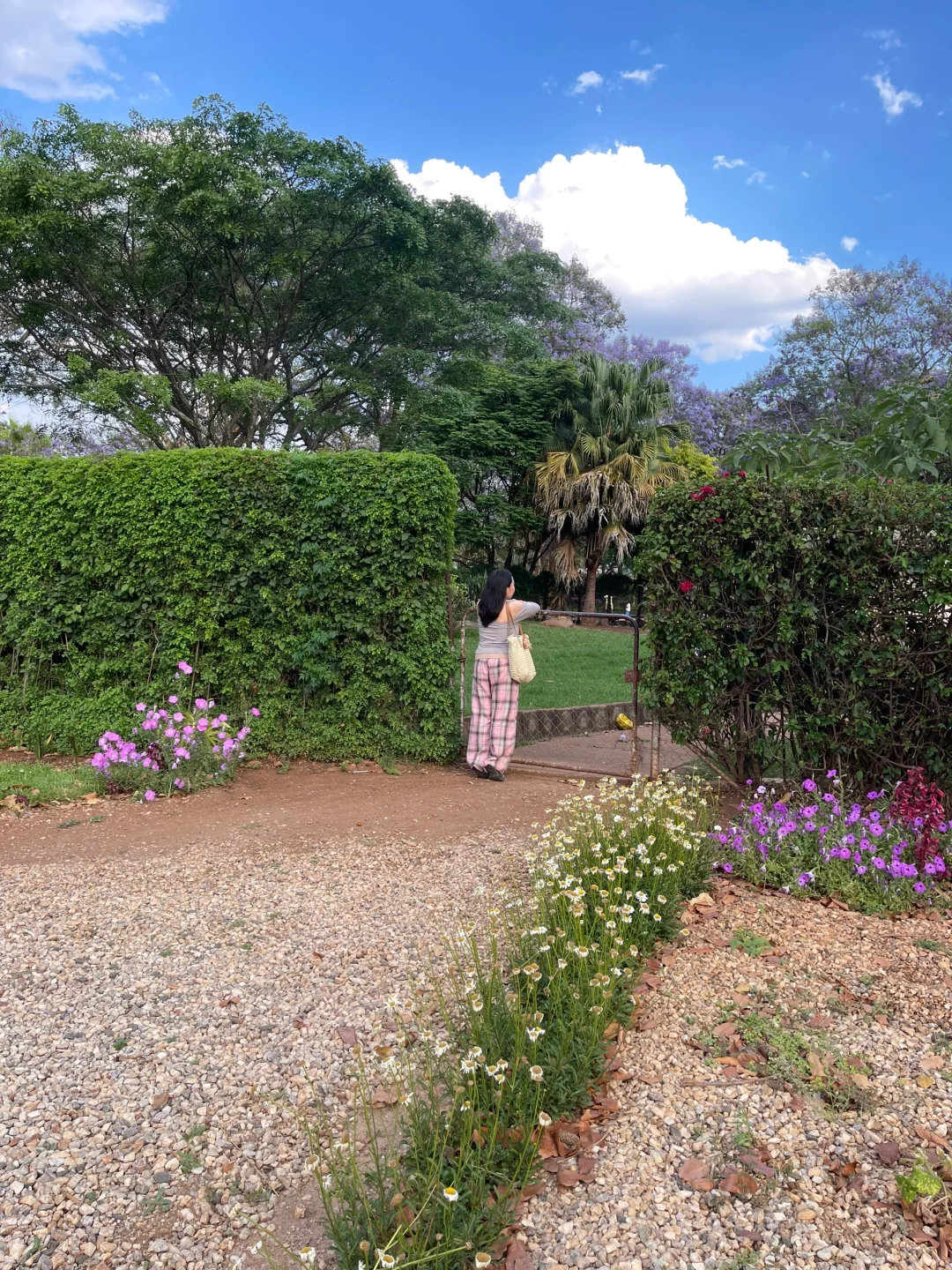 我是如何找到外派工作的（非洲版）