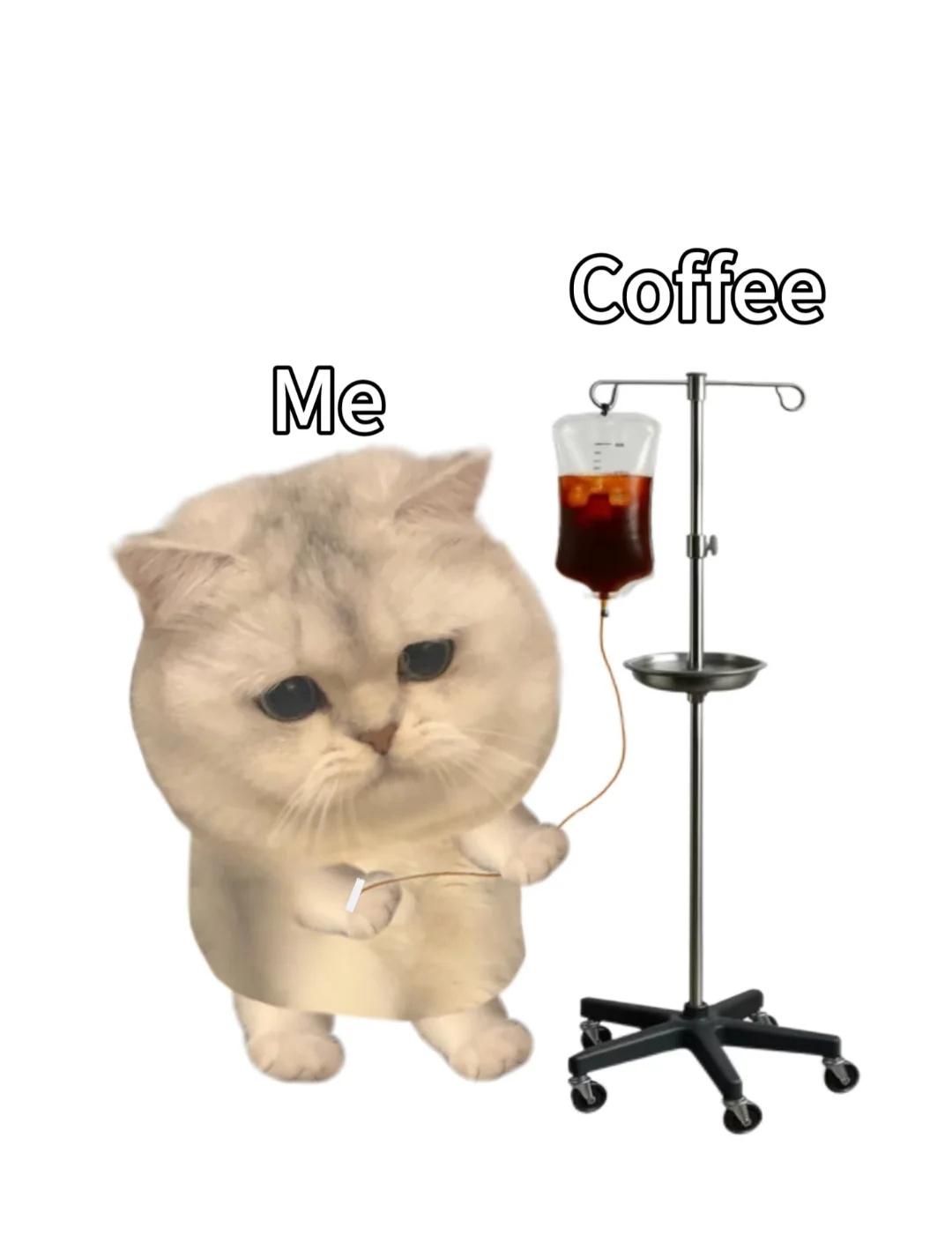 重生之我在石家庄招人第N天