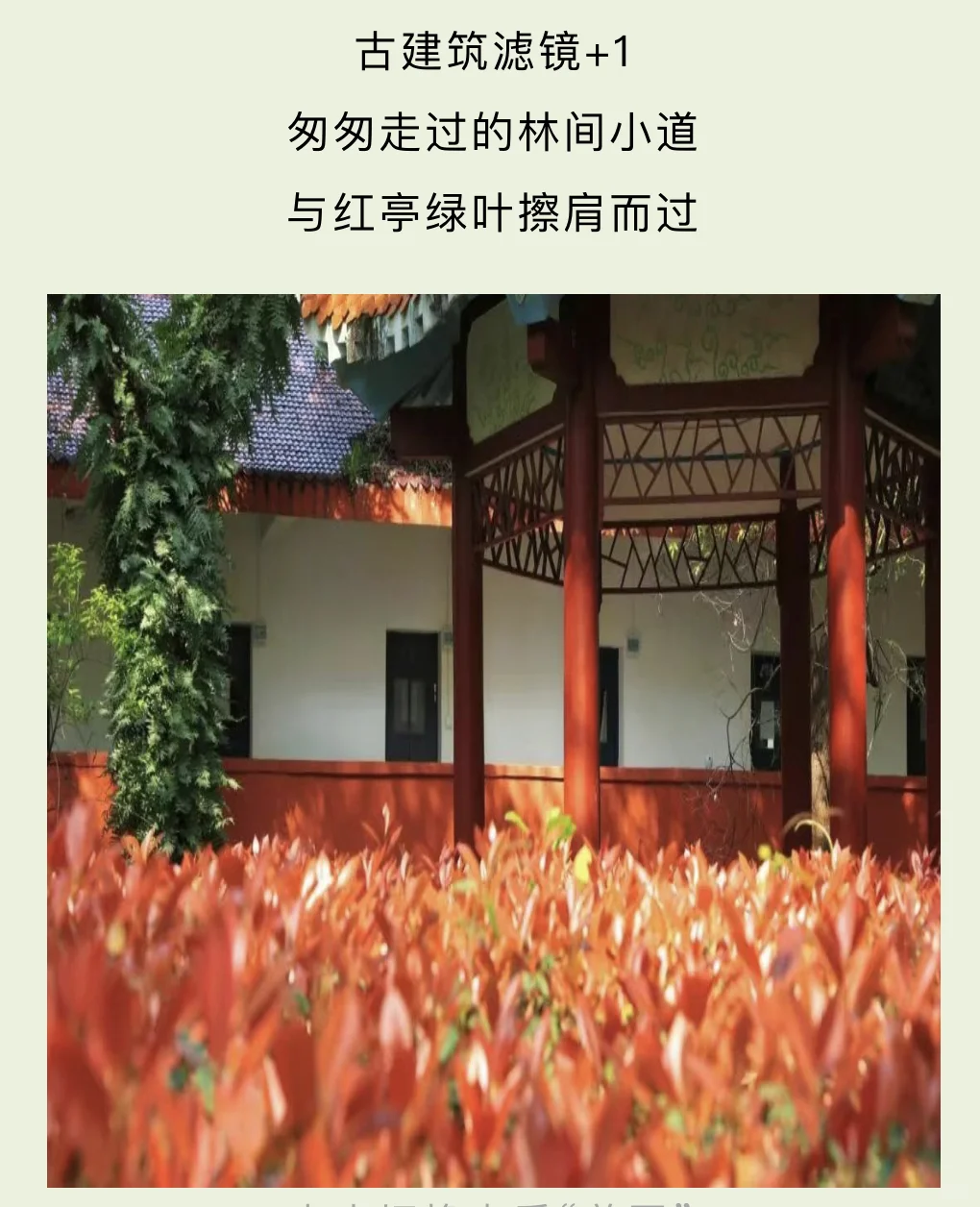 高考志愿填报