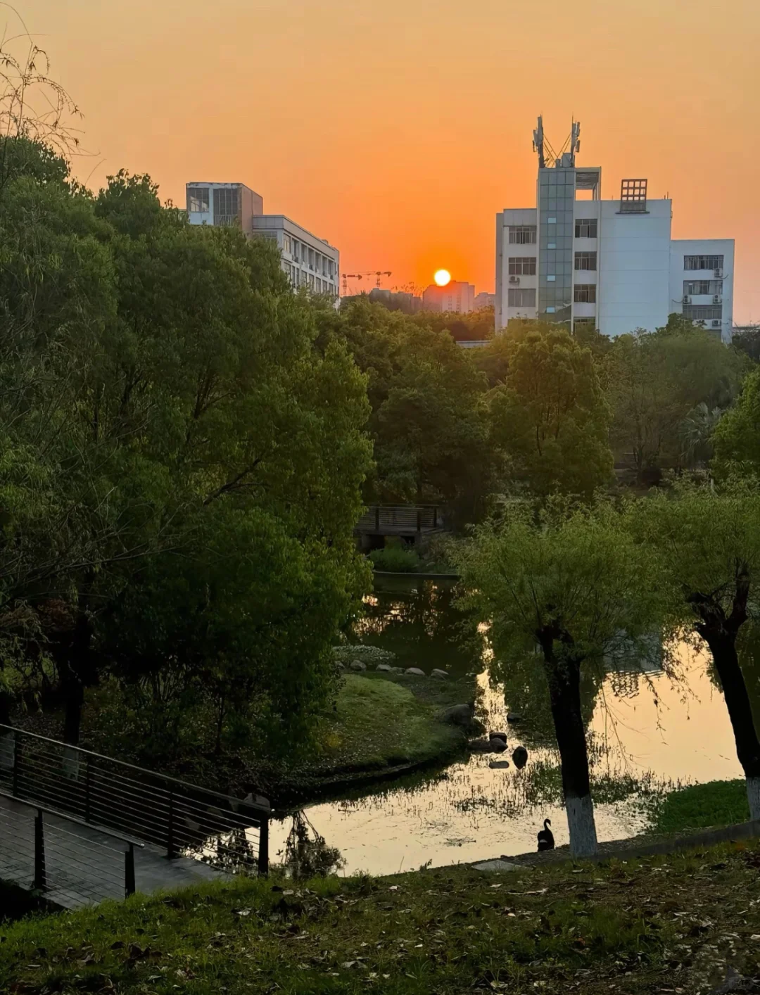 高考志愿填报