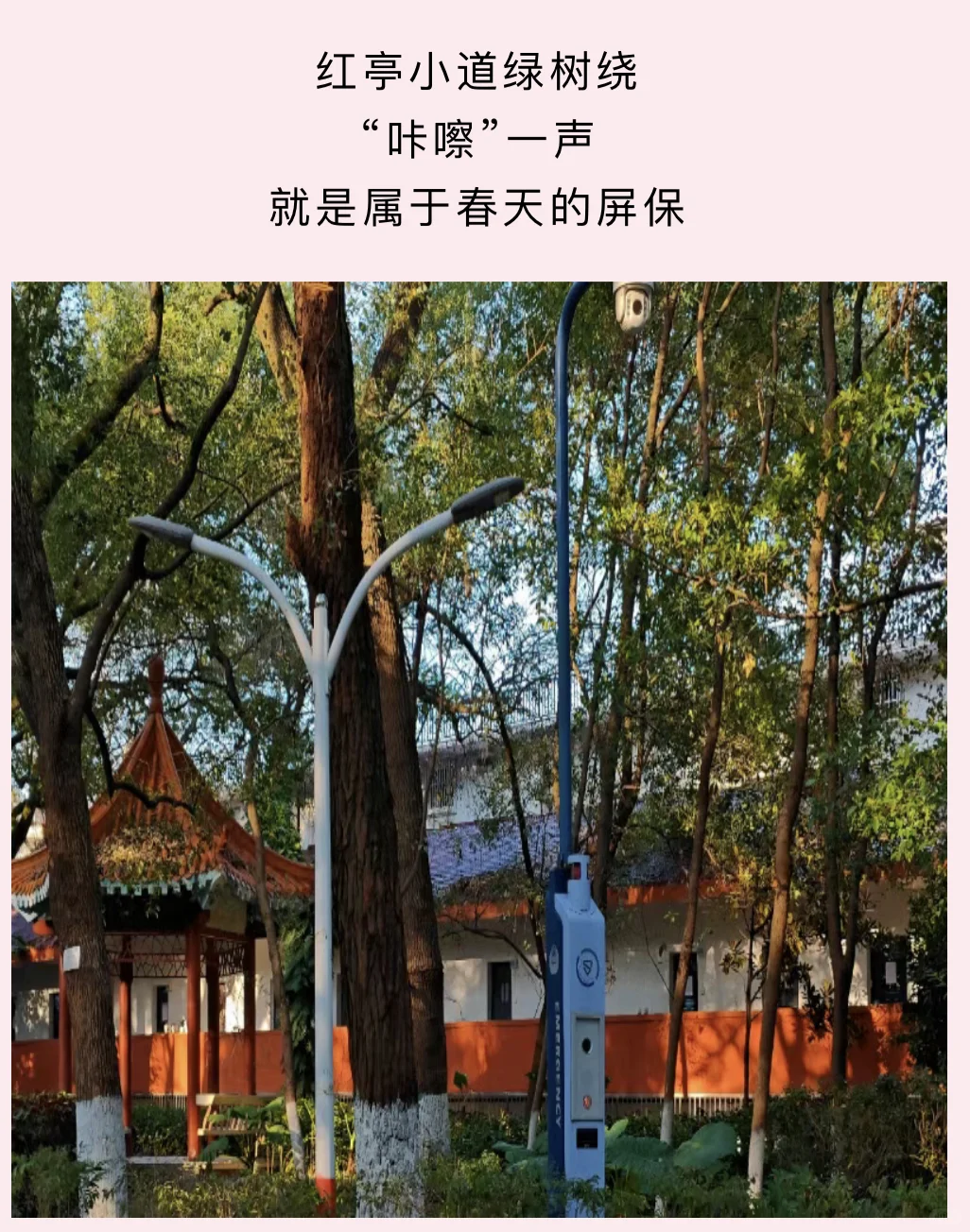 高考志愿填报