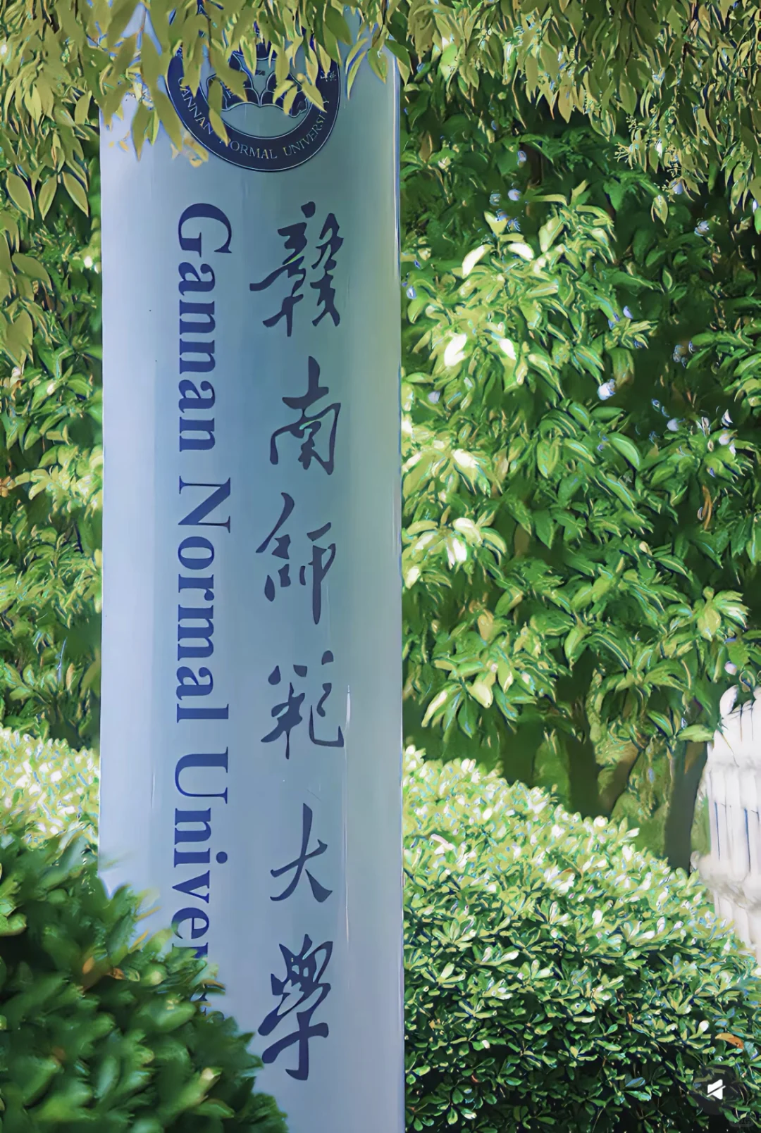 高考志愿填报