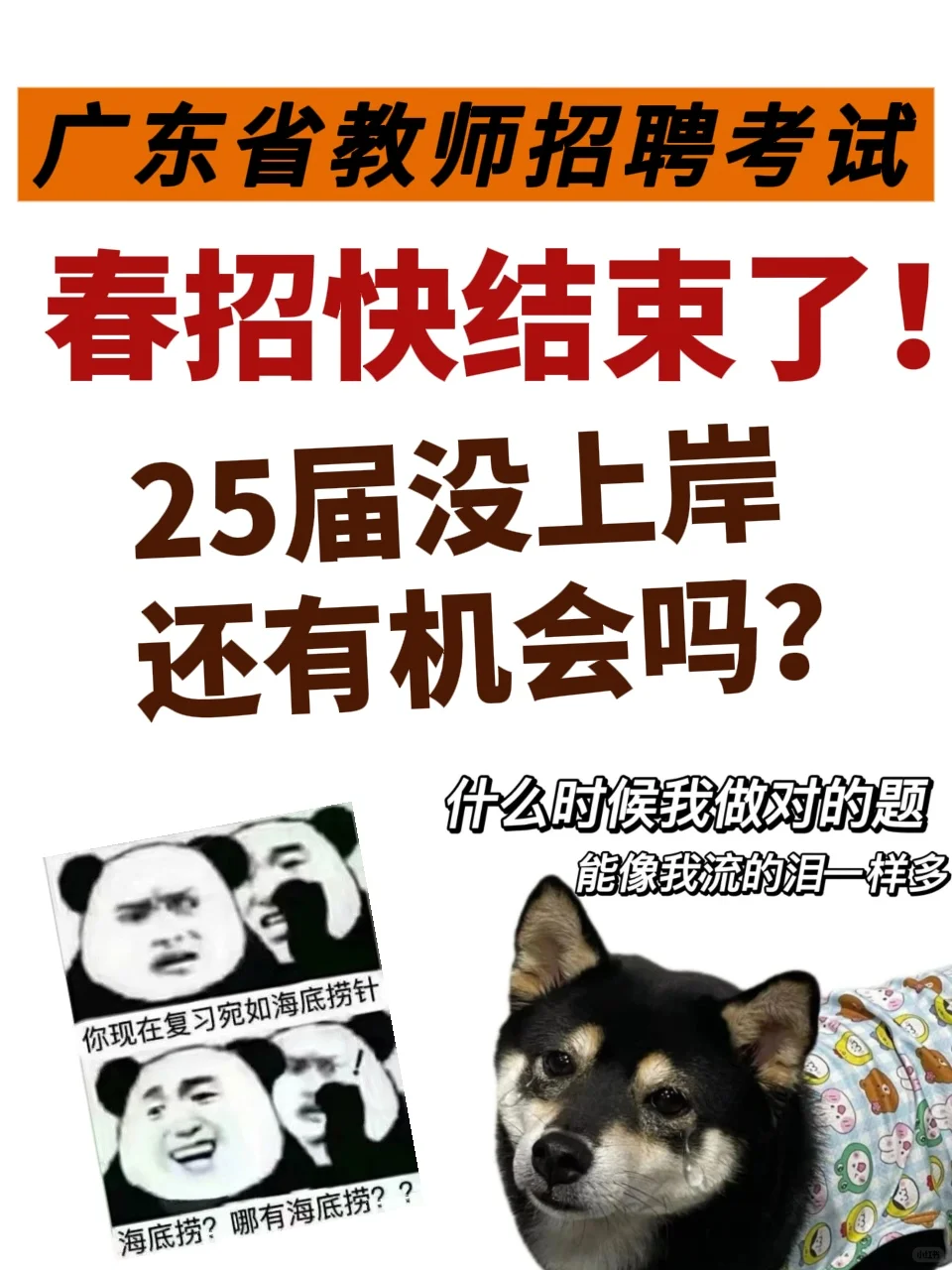 25届春招没上岸，还有机会吗？