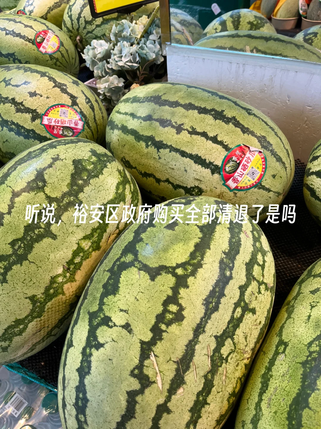 裕安区政府购买全部清退了吗，同市