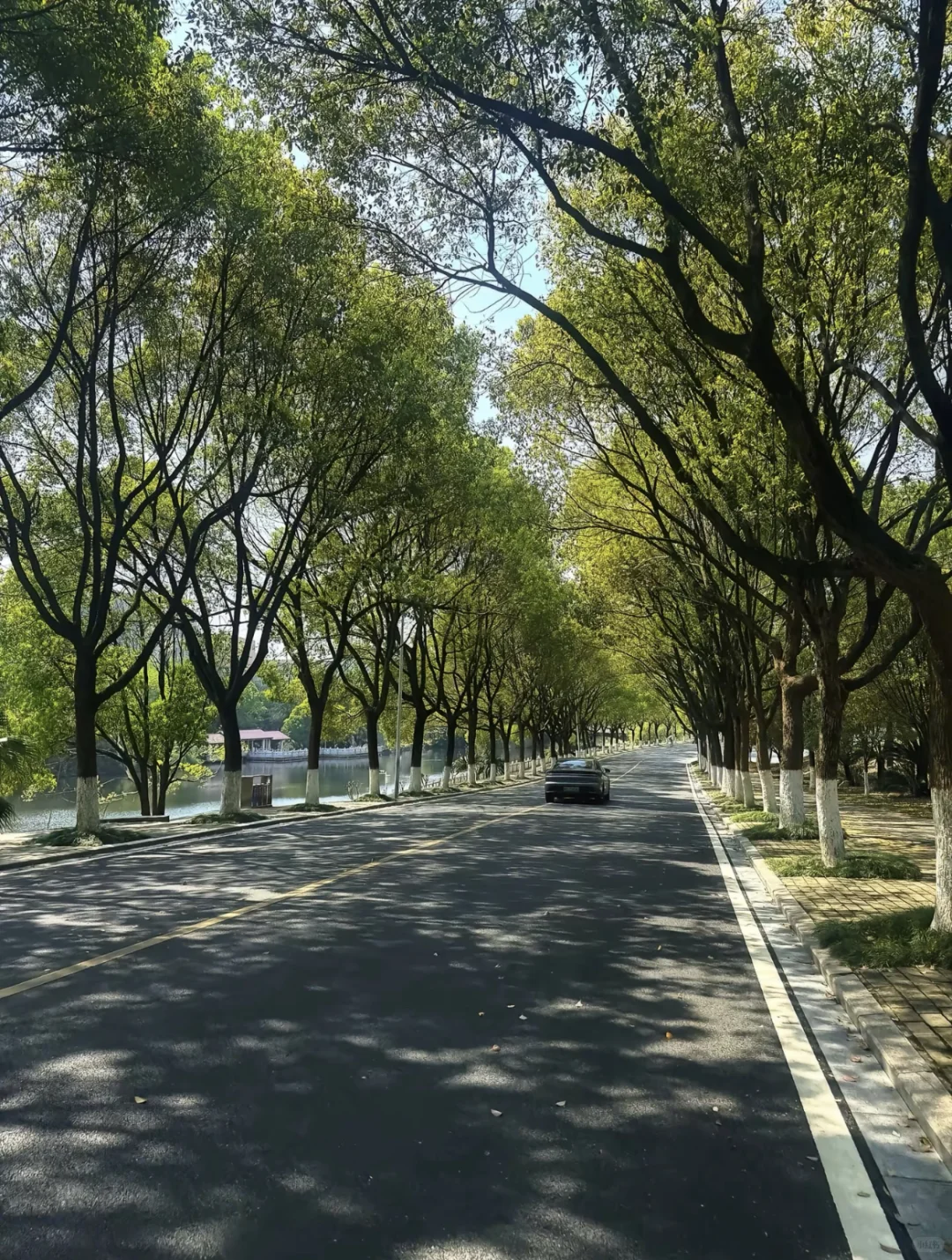 高考志愿填报