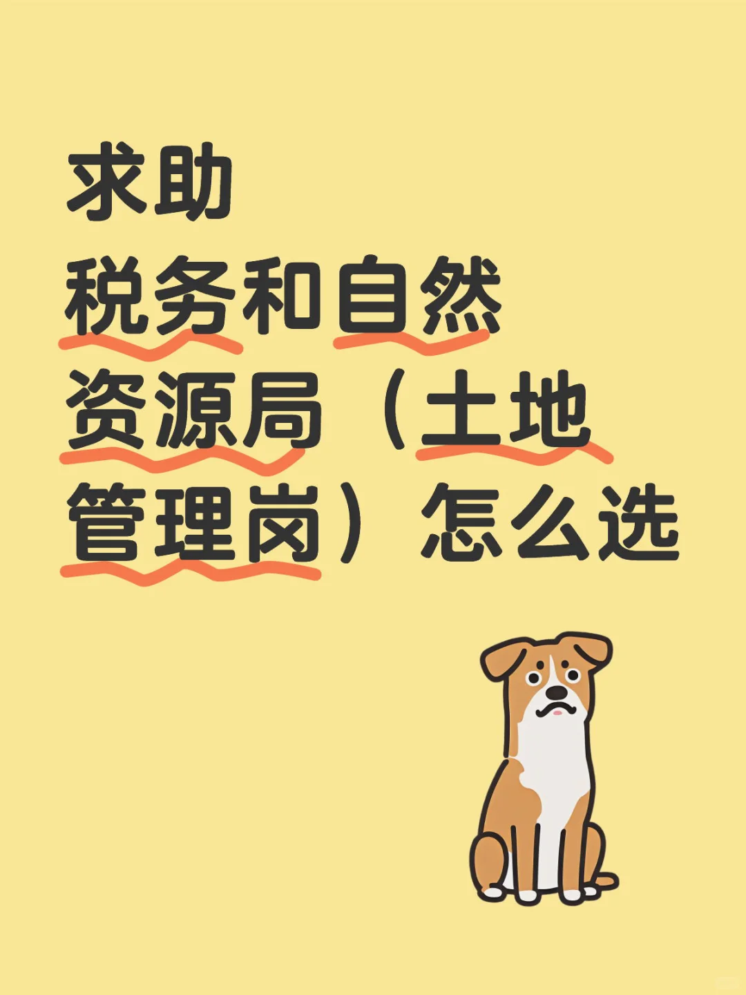 税务vs自然资源局怎么选