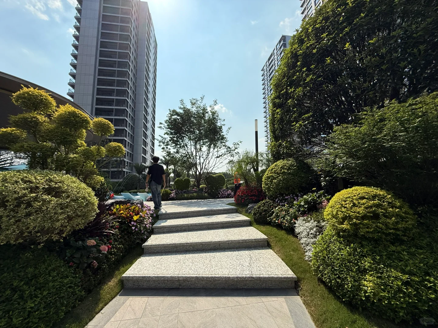 ‼️小区聘第三方咨询公司！快来报名