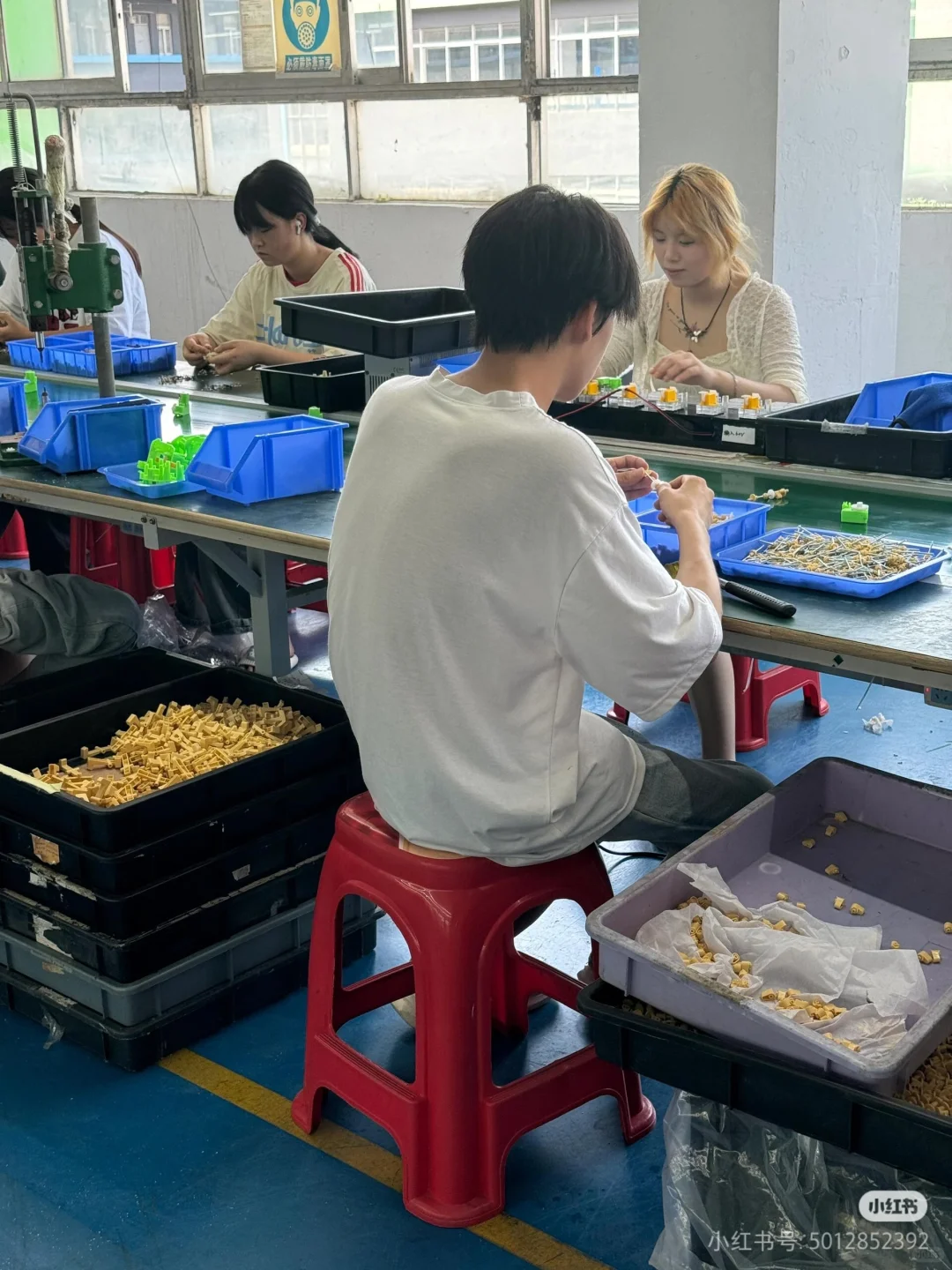 暑假工一定要去玩具厂！！