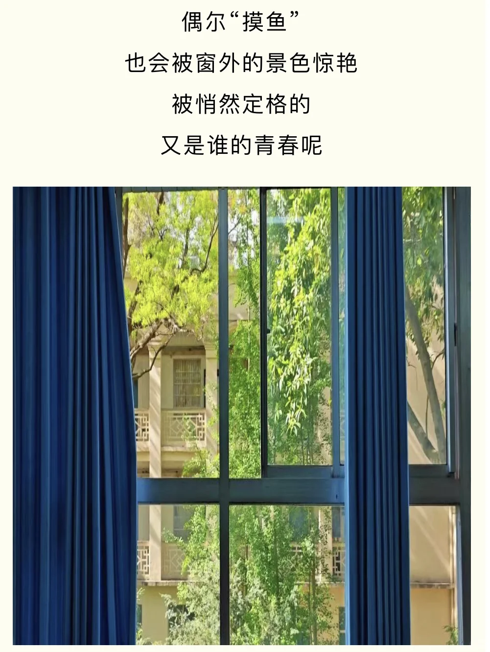 高考志愿填报