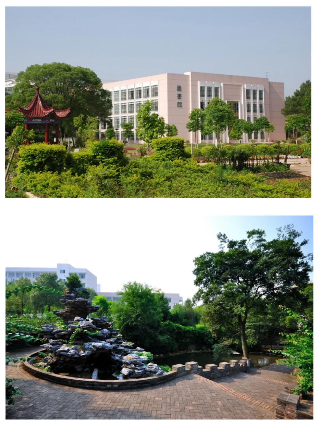 高考志愿填报