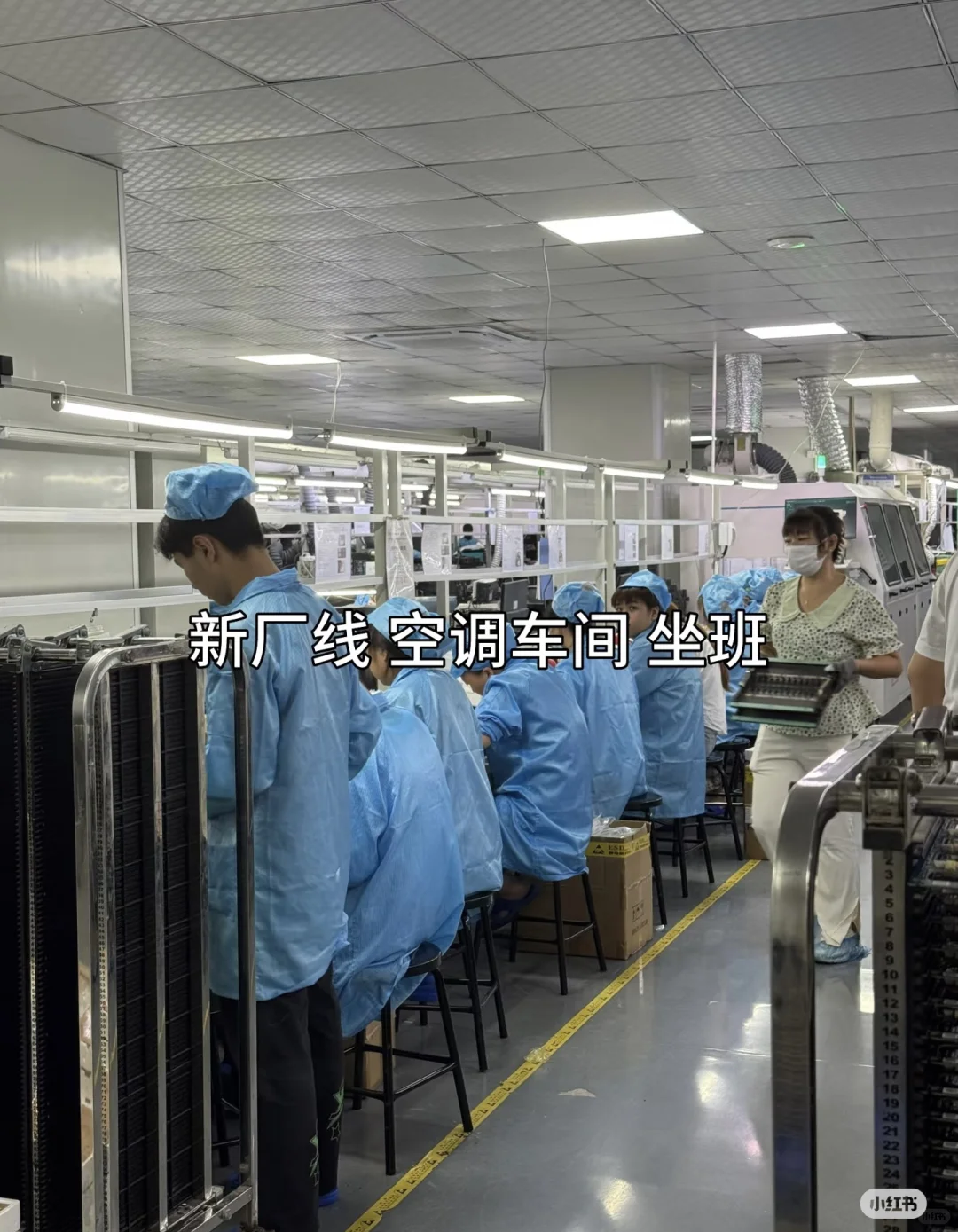 大量招正式工、小时工