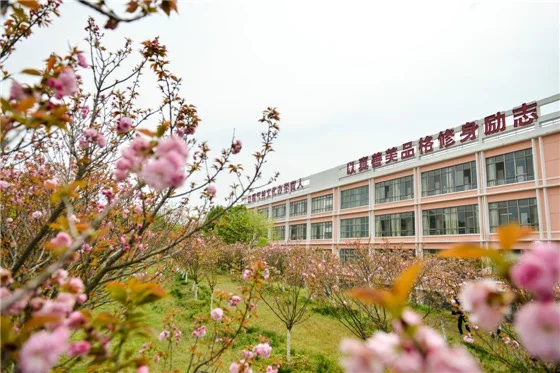 高考志愿填报