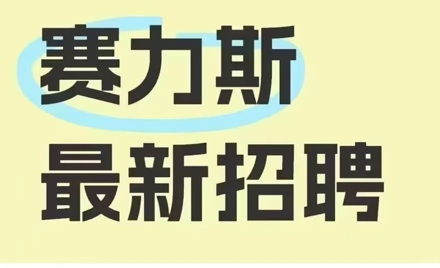 赛力斯直招