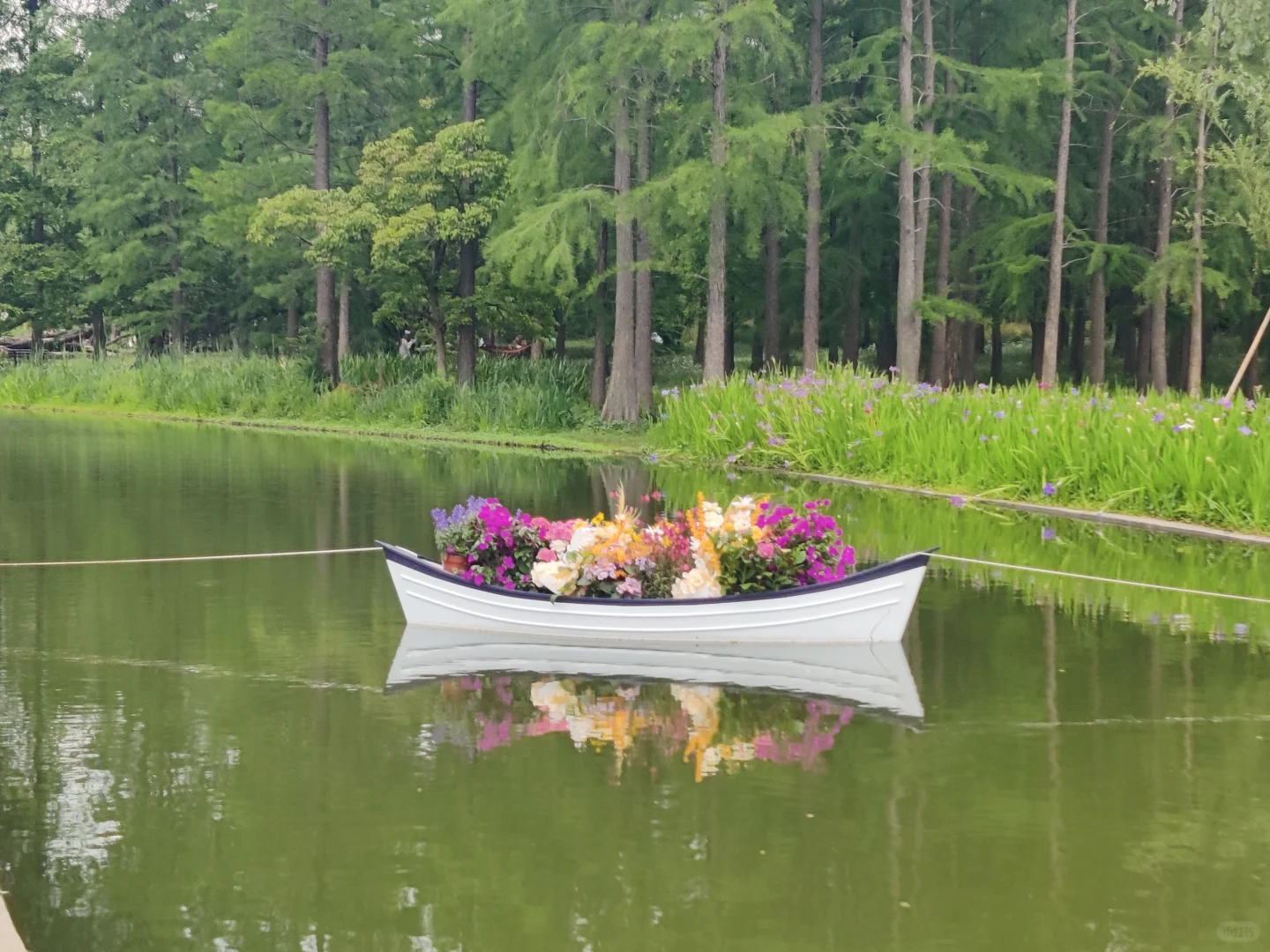 985计算机硕进国企，人生看到了尽头（3）