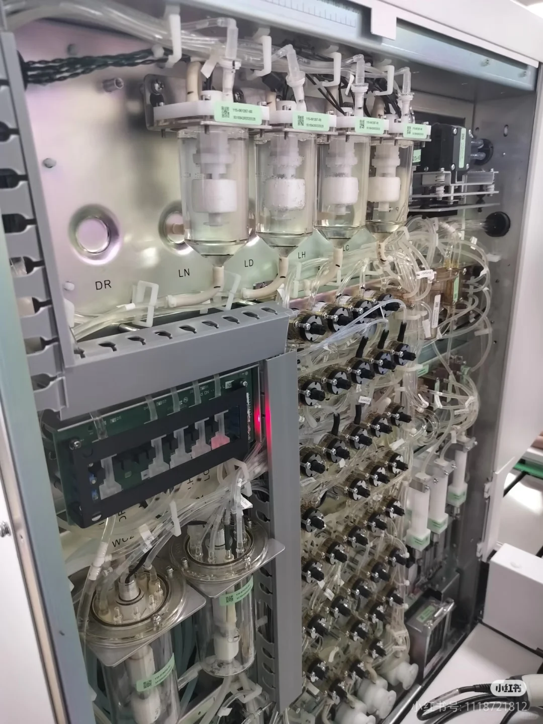 原来不会德语也能入职🇩🇪高薪岗位