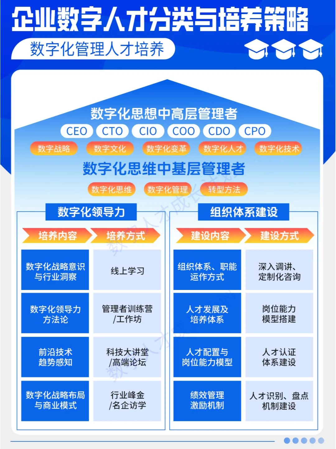 企业数字人才分类与培养策略