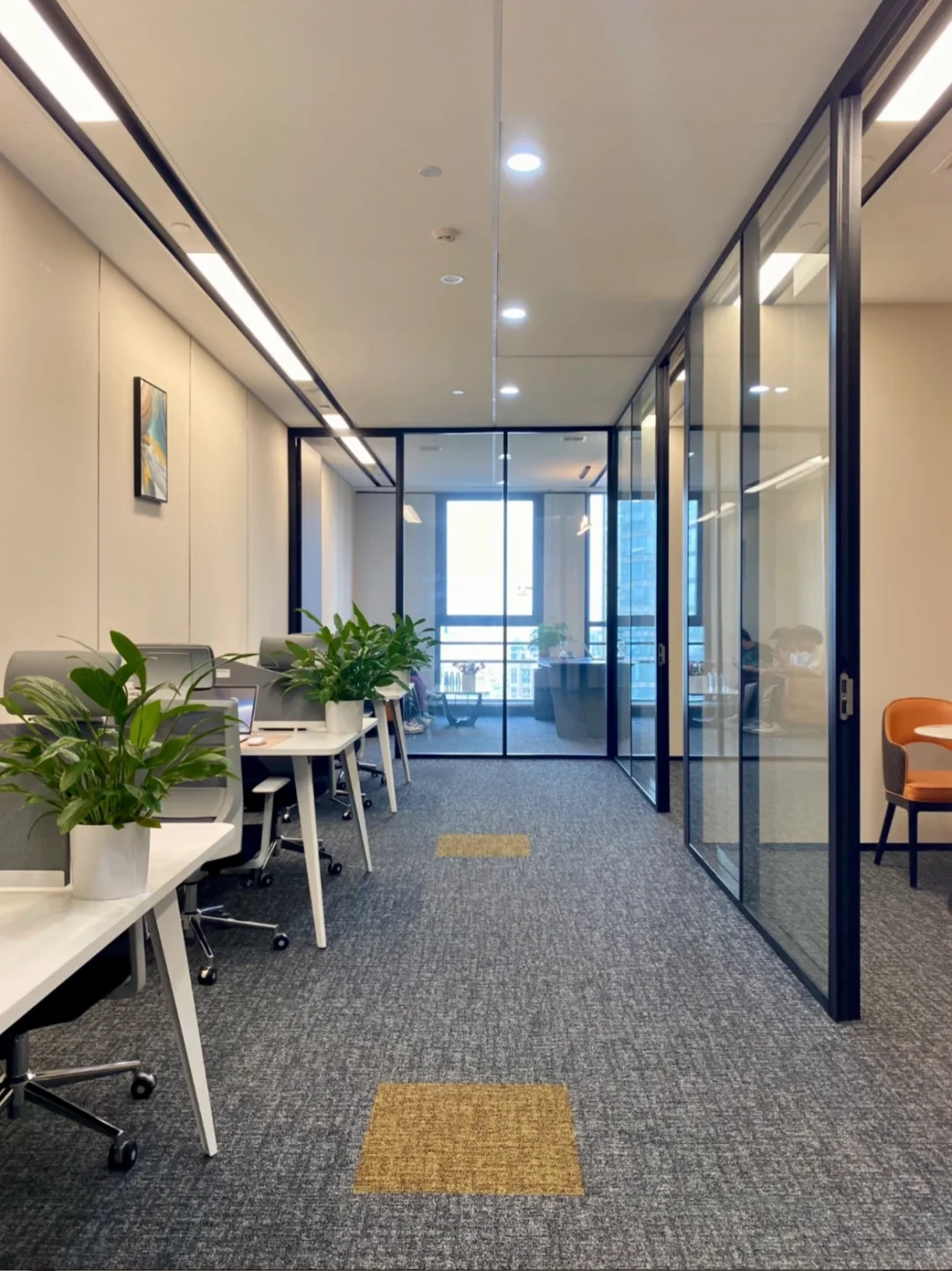 开放式办公室真的太舒服了！