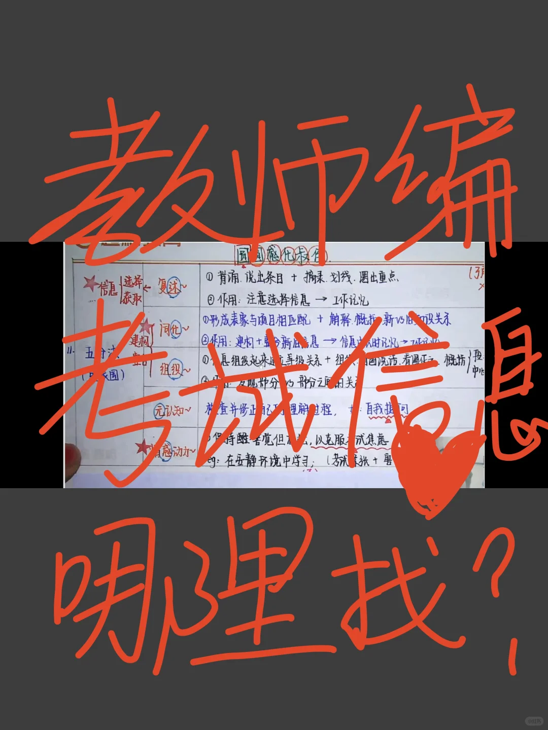 纯小白考编考试信息哪里找