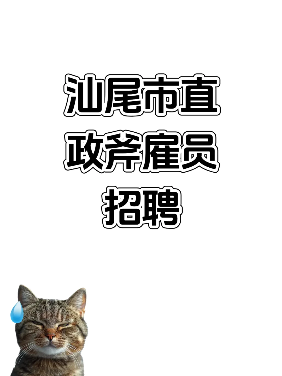 📢汕尾市市直单位招聘ZF聘员啦！