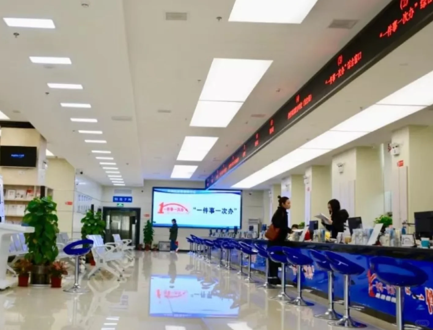 北湖政务大厅招聘文职岗啦！双休双休