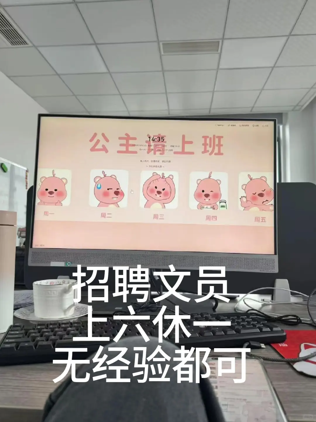 这里有文员小姐姐～～