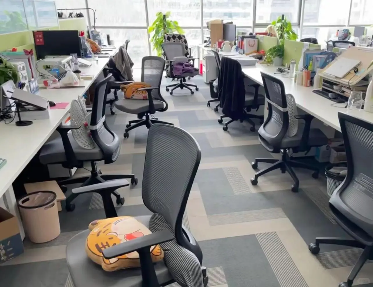 这里有文员小姐姐～～