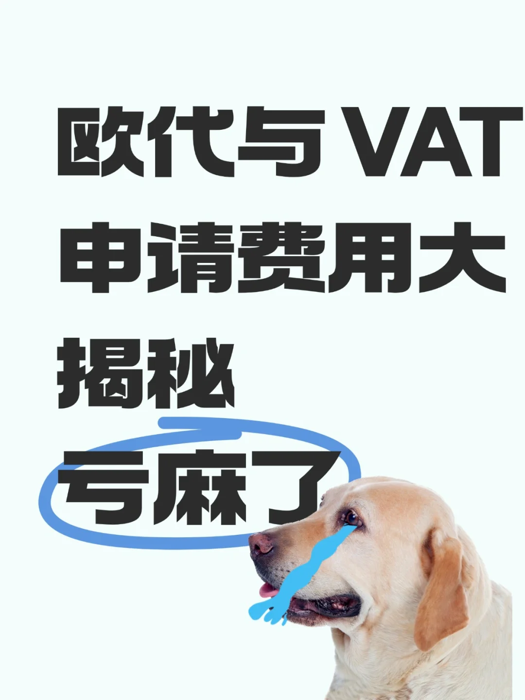 欧代与VAT申请费用大揭秘 避坑环节