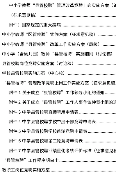 县管校聘工作实施方案考核申报竞聘总结材料