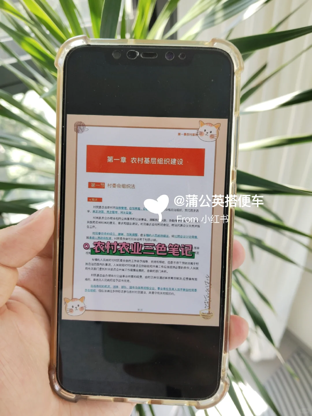 邯郸曲周县村务工作者，大概率从这里出