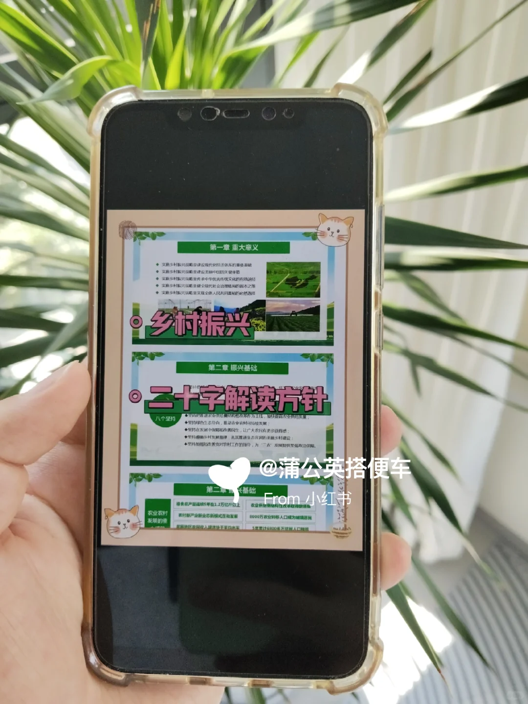 邯郸曲周县村务工作者，大概率从这里出