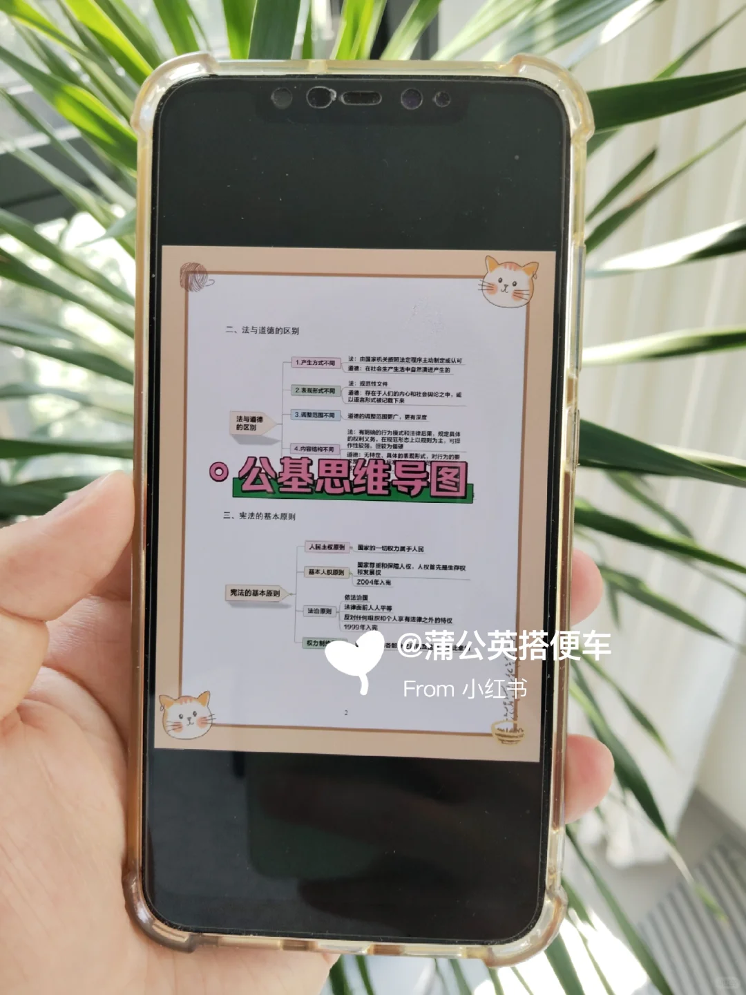 邯郸曲周县村务工作者，大概率从这里出