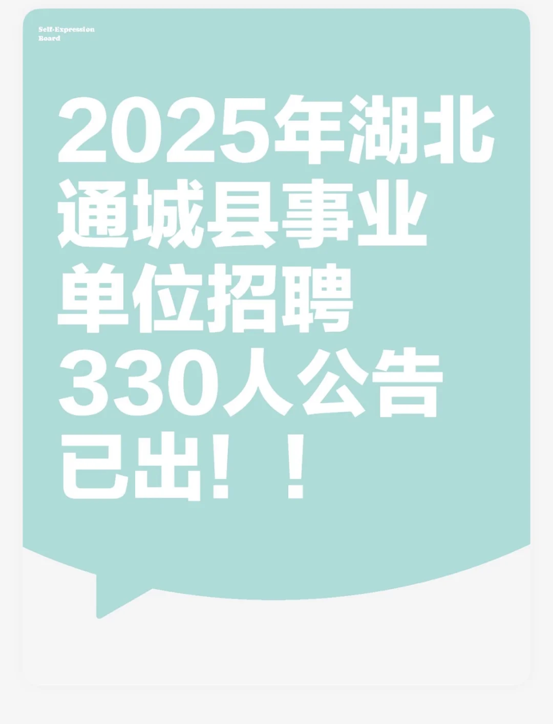 25年湖北通城县事业单位招聘330人公告已出