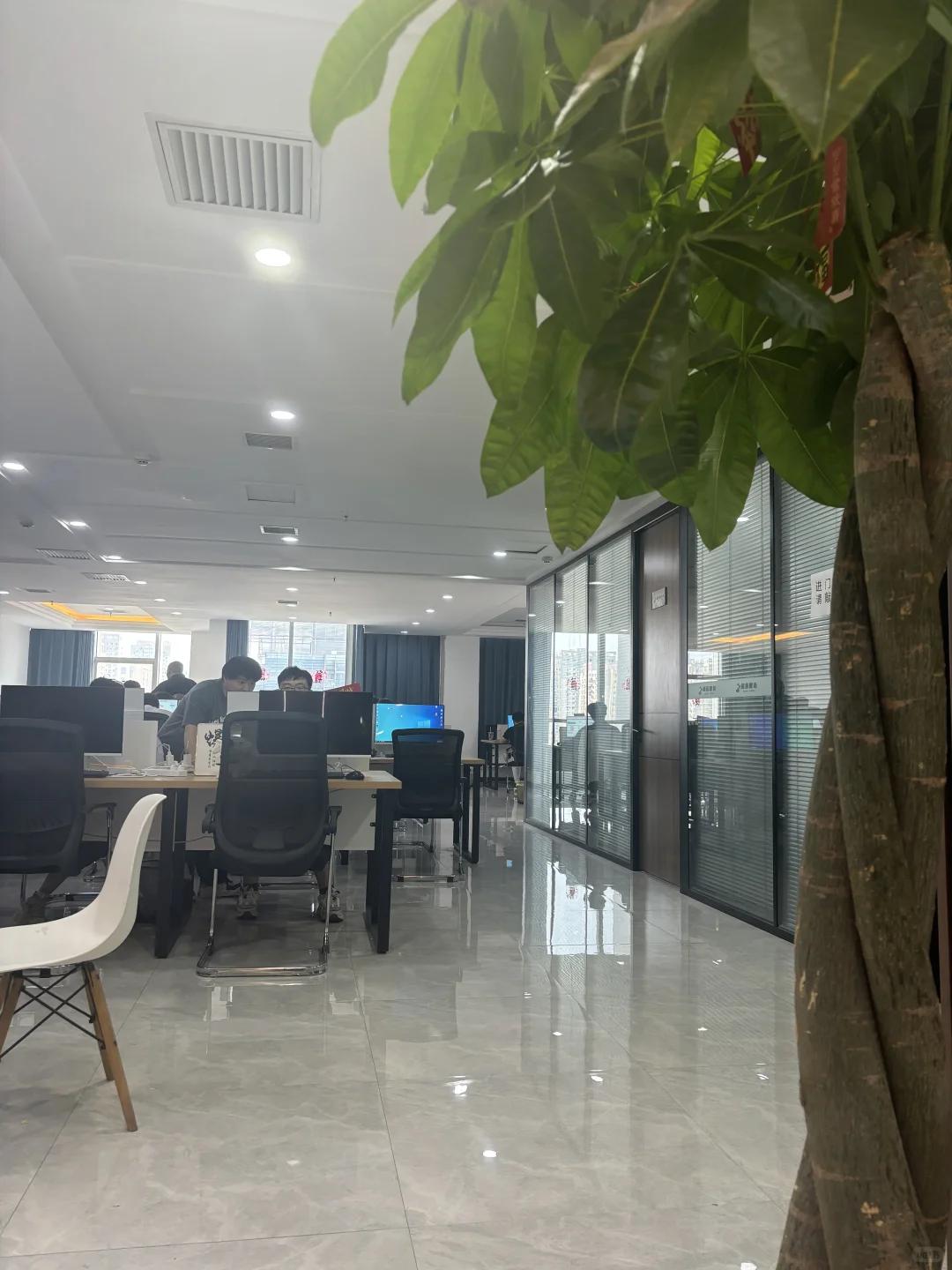 坐标金水区楷林国际