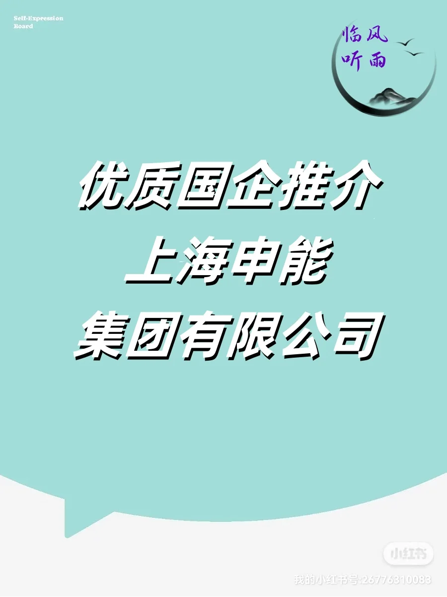 优质国企推介：上海申能集团有限公司