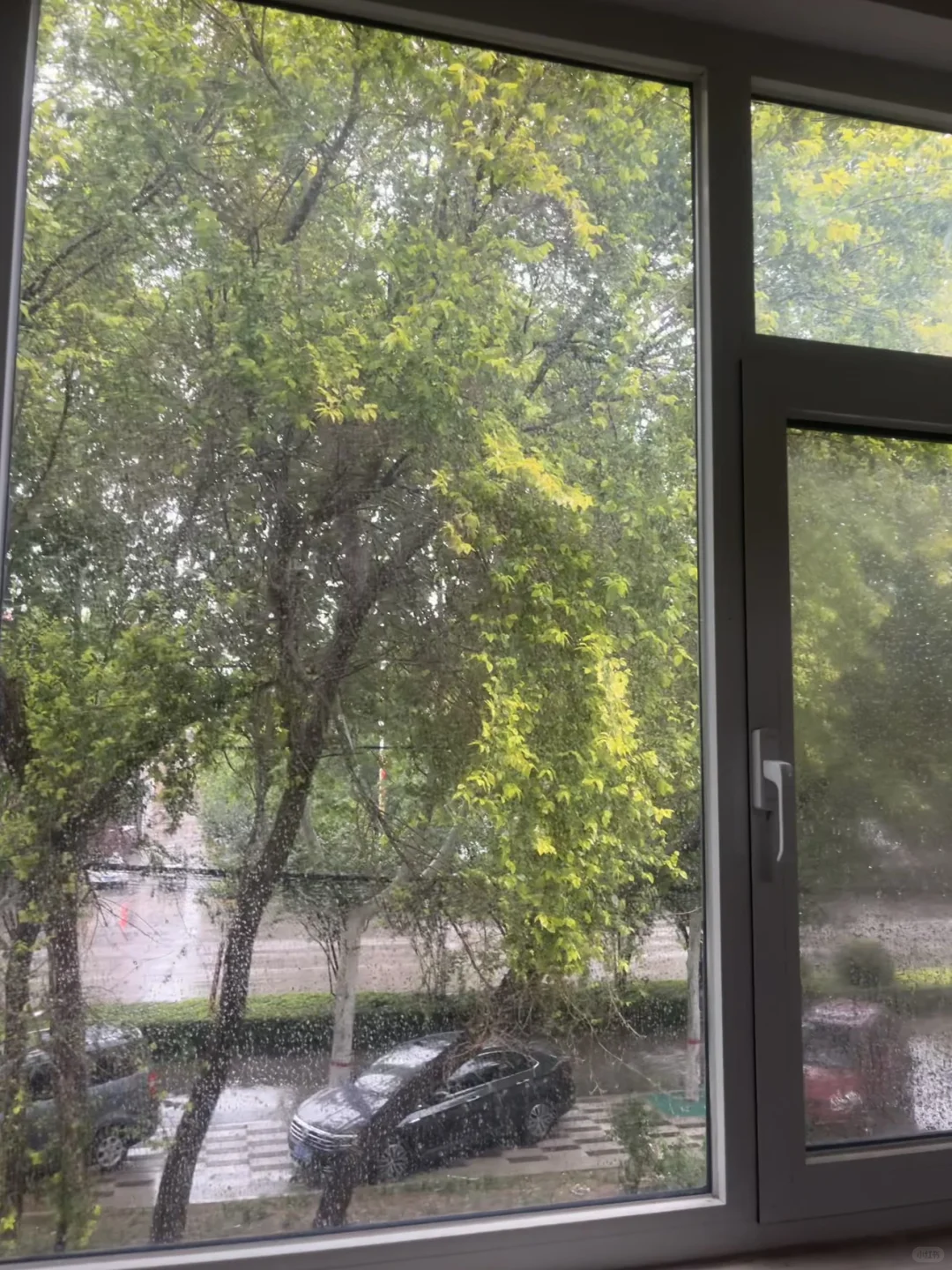 邯郸首聘上班实习的 有吗 找舍友