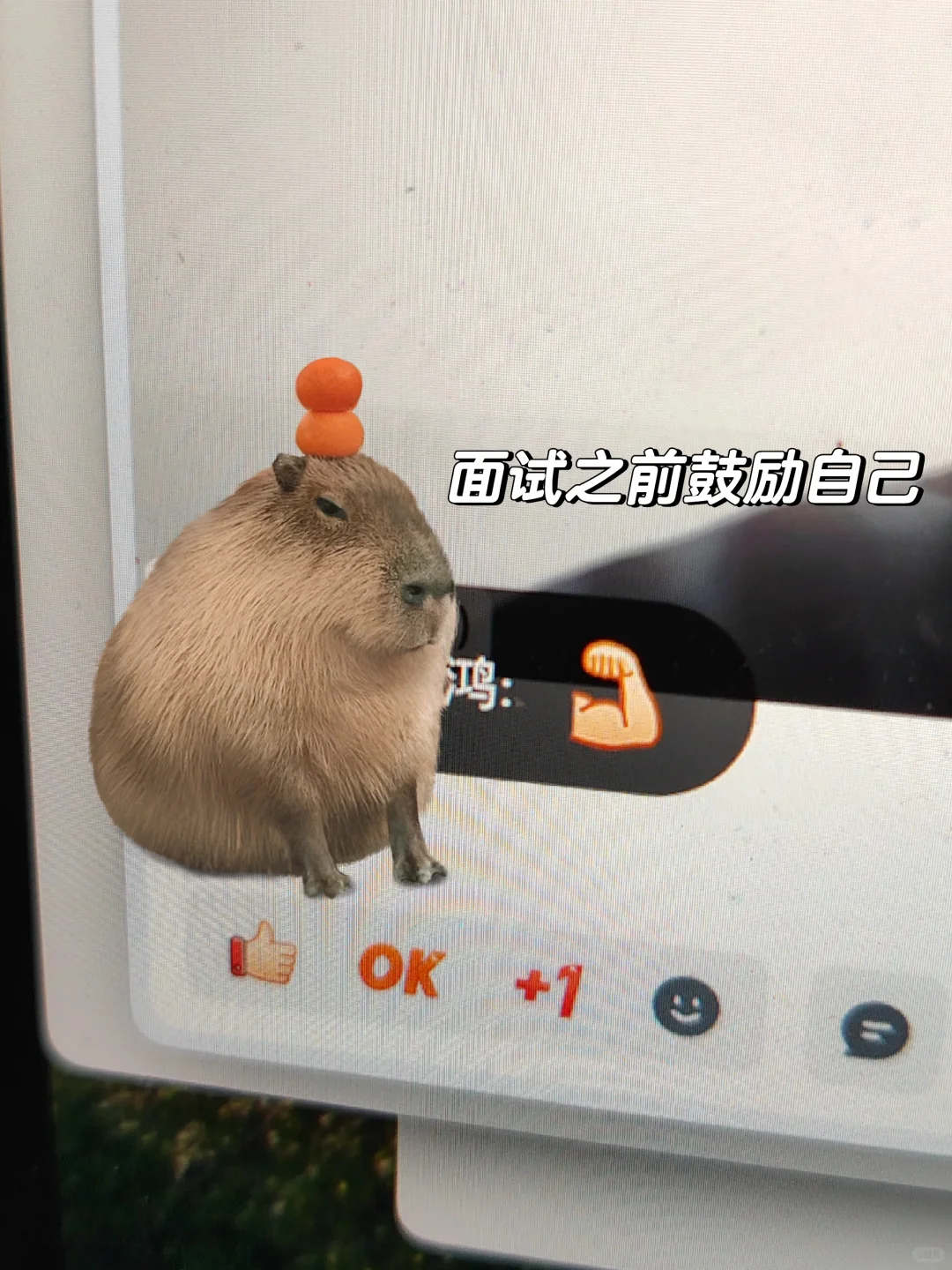 字节海外运营全流程面经 很需要勇气的面试