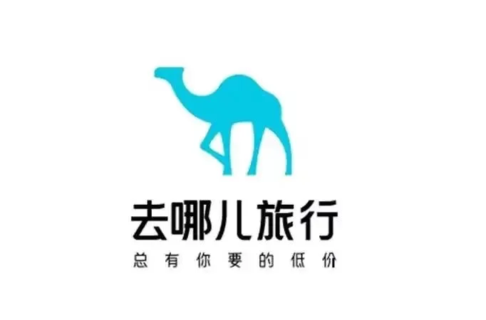 去哪了实习直招