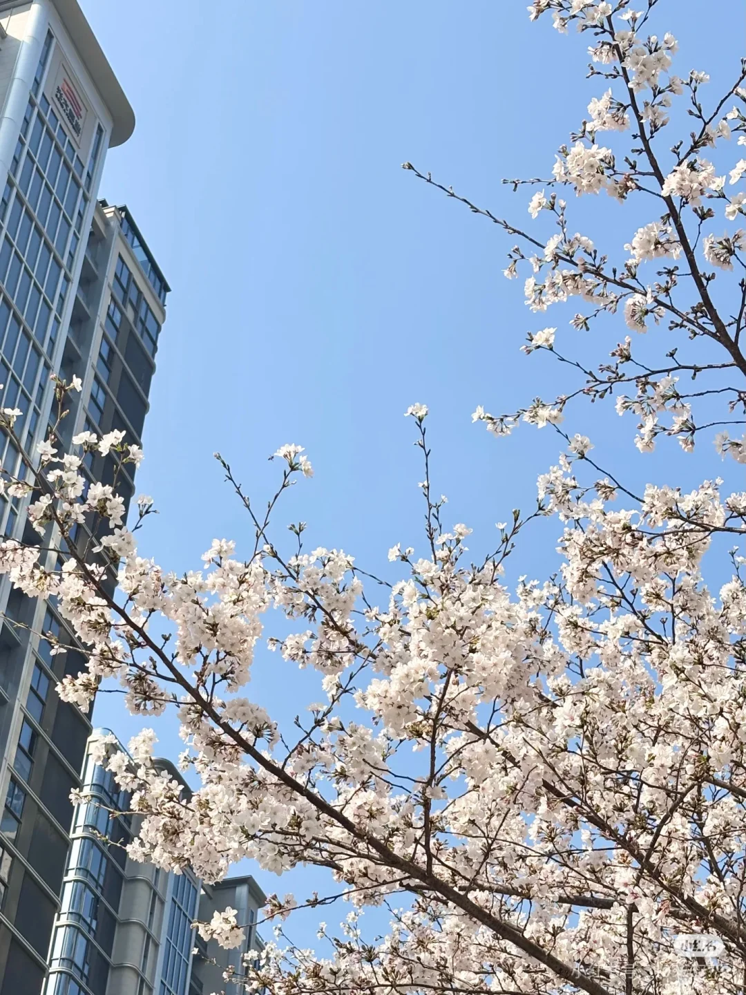 💥北京电视台招聘啦，快来看看！😎