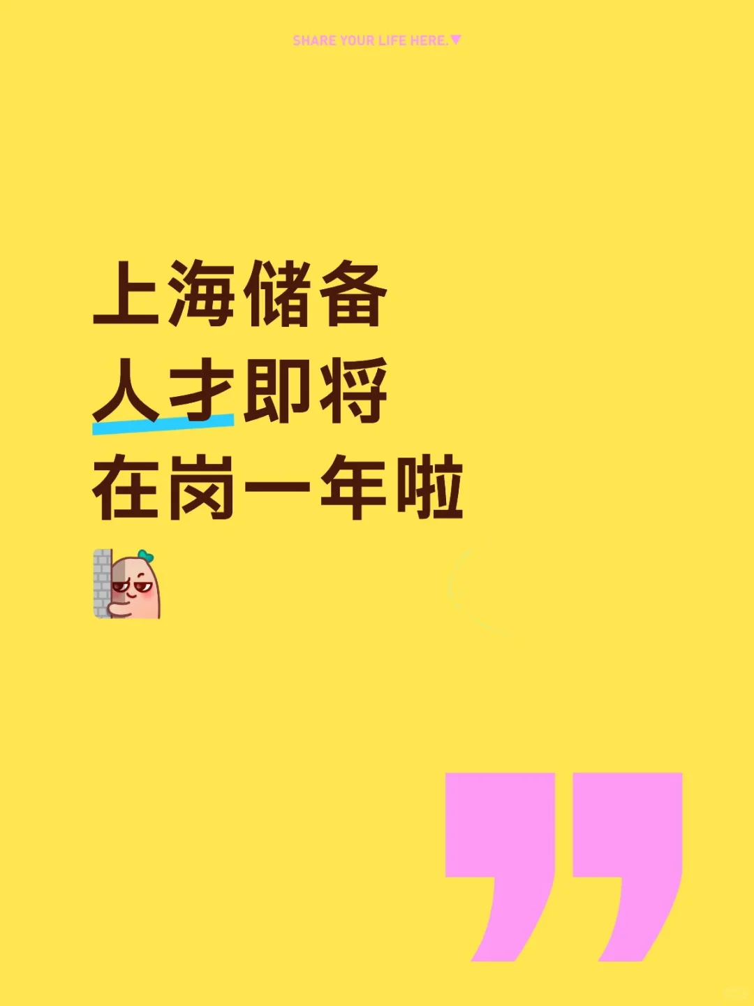 储备人才们都怎么样啦