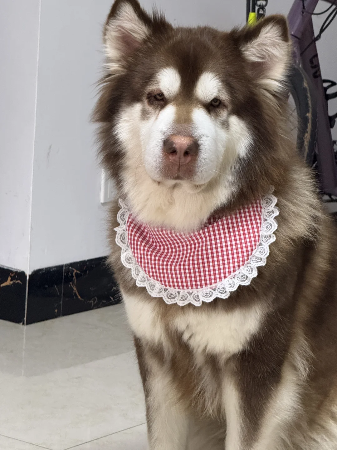 南宁招总助了了了了