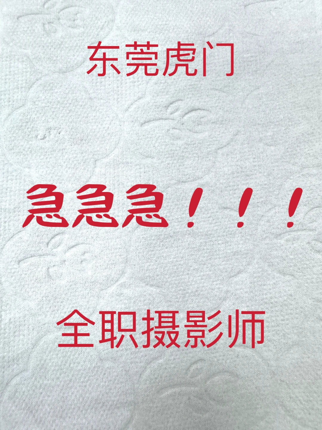 全女公司，氛围超好