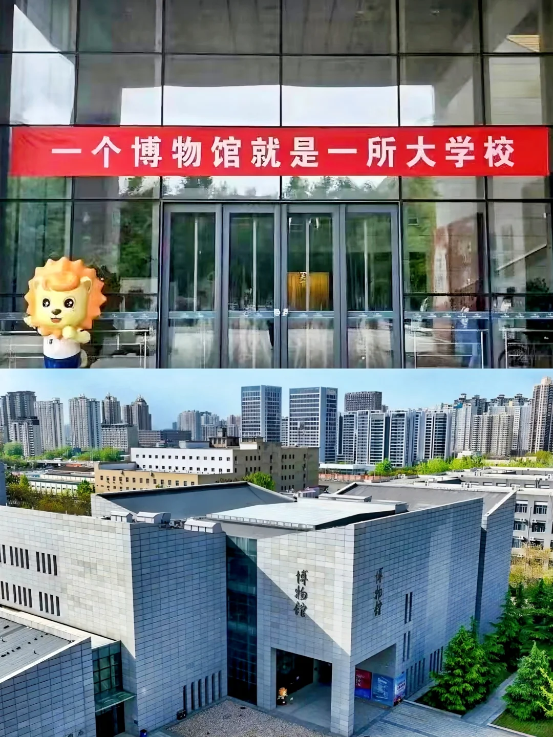 📢寻人启事！河北师大博物馆招人啦