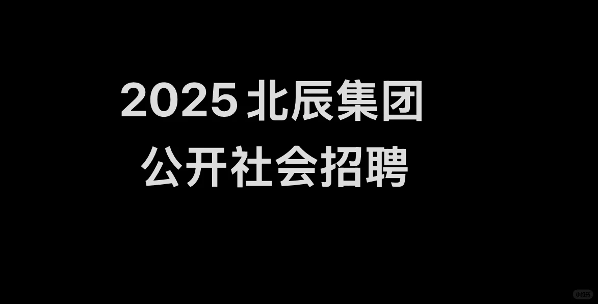 2025北辰集团公开招聘