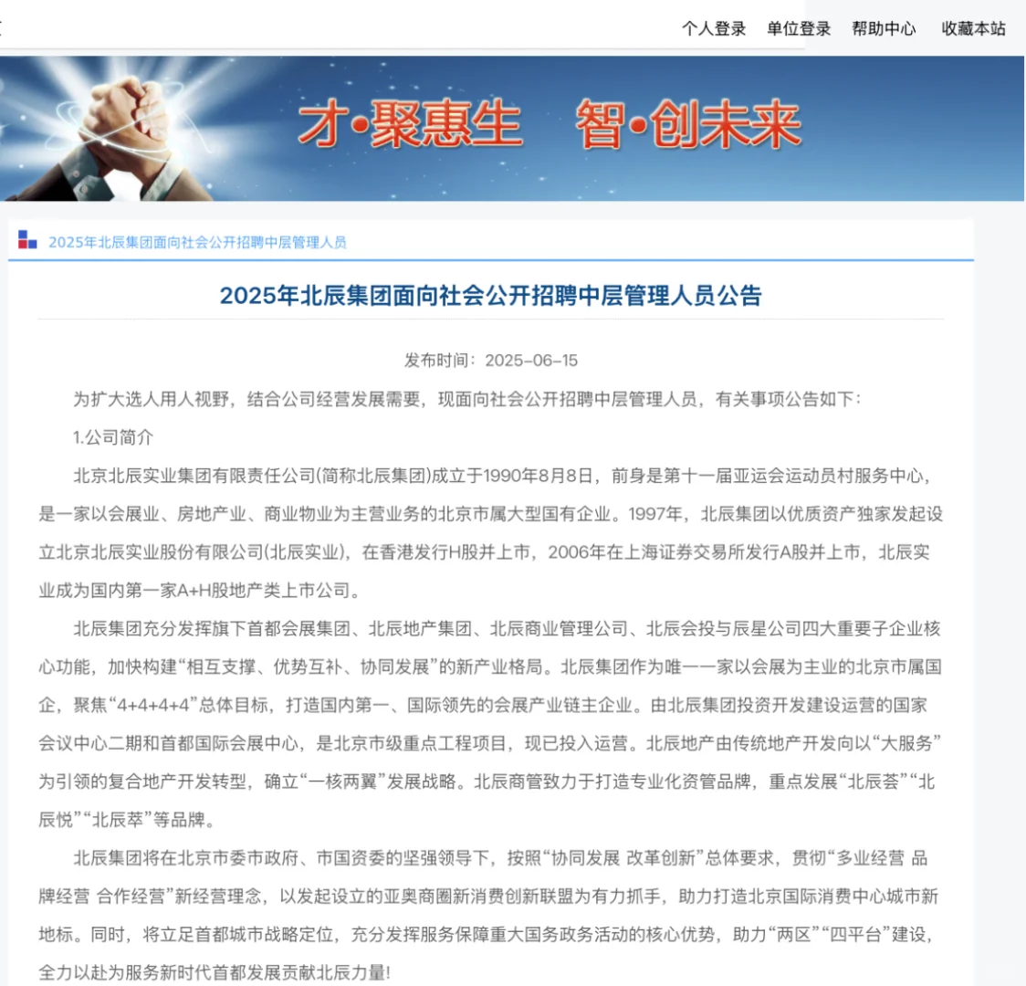 2025北辰集团公开招聘