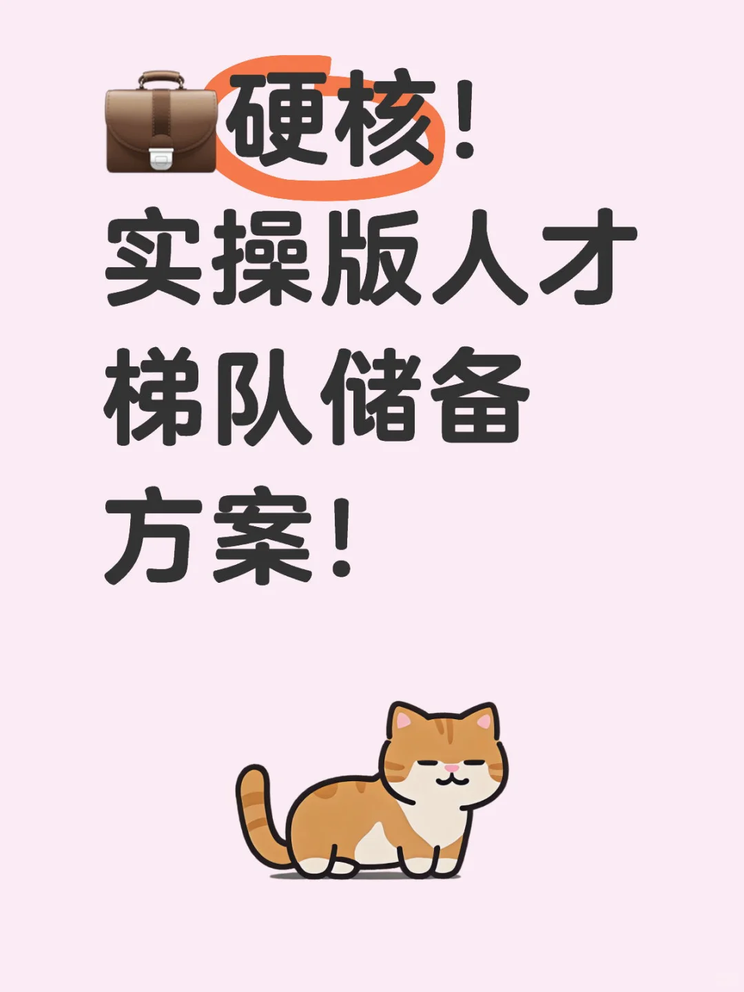 💼硬核！实操版人才梯队储备方案