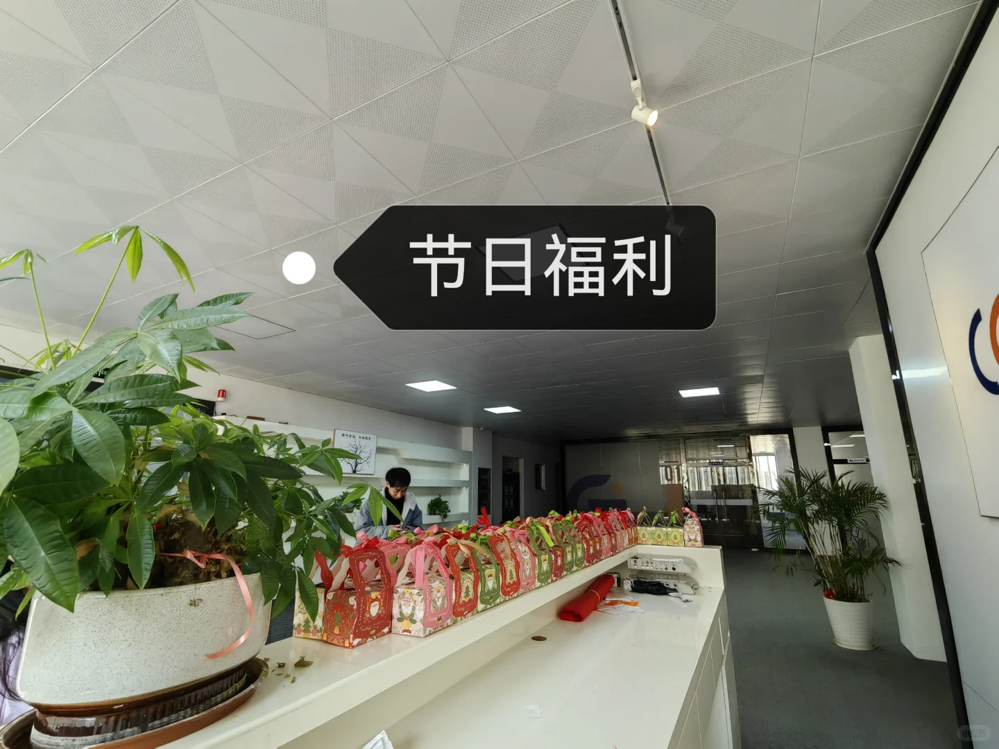 经开区神仙文职工作